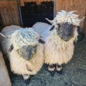 Landwirtschaft als Familienaufgabe