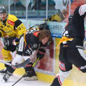 Pioneers Kampfgeist nicht belohnt