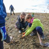 Hörbranzer Mittelschüler forsten auf: Neue Bäume für Hochreute. »A7