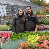 Endspurt im Garten