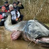 „Ein echtes Monster“