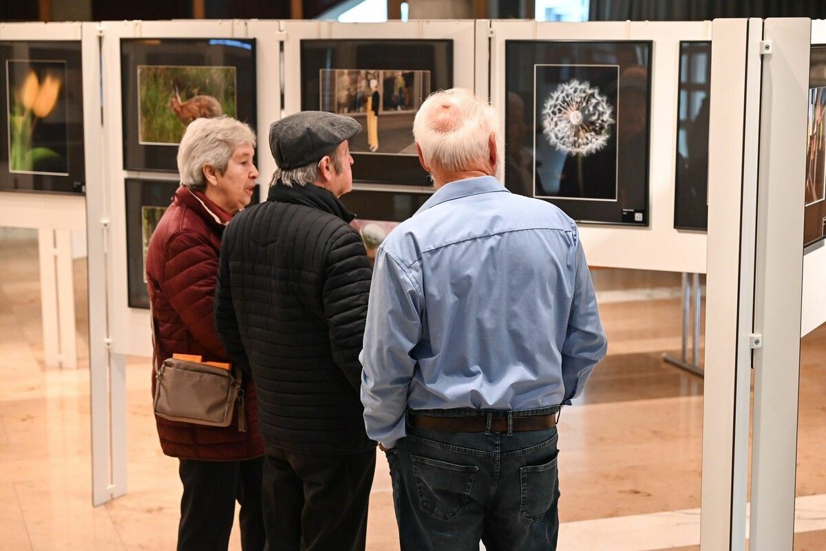 Fotoclub Lustenau stellte neueste Werke im Reichshofsaal aus. Diese konnten für den guten Zweck erworben werden.⇒bvs (3)