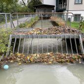 Müllerbach oft verstopft
