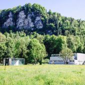 Neue Lindenallee im Reichenfeld