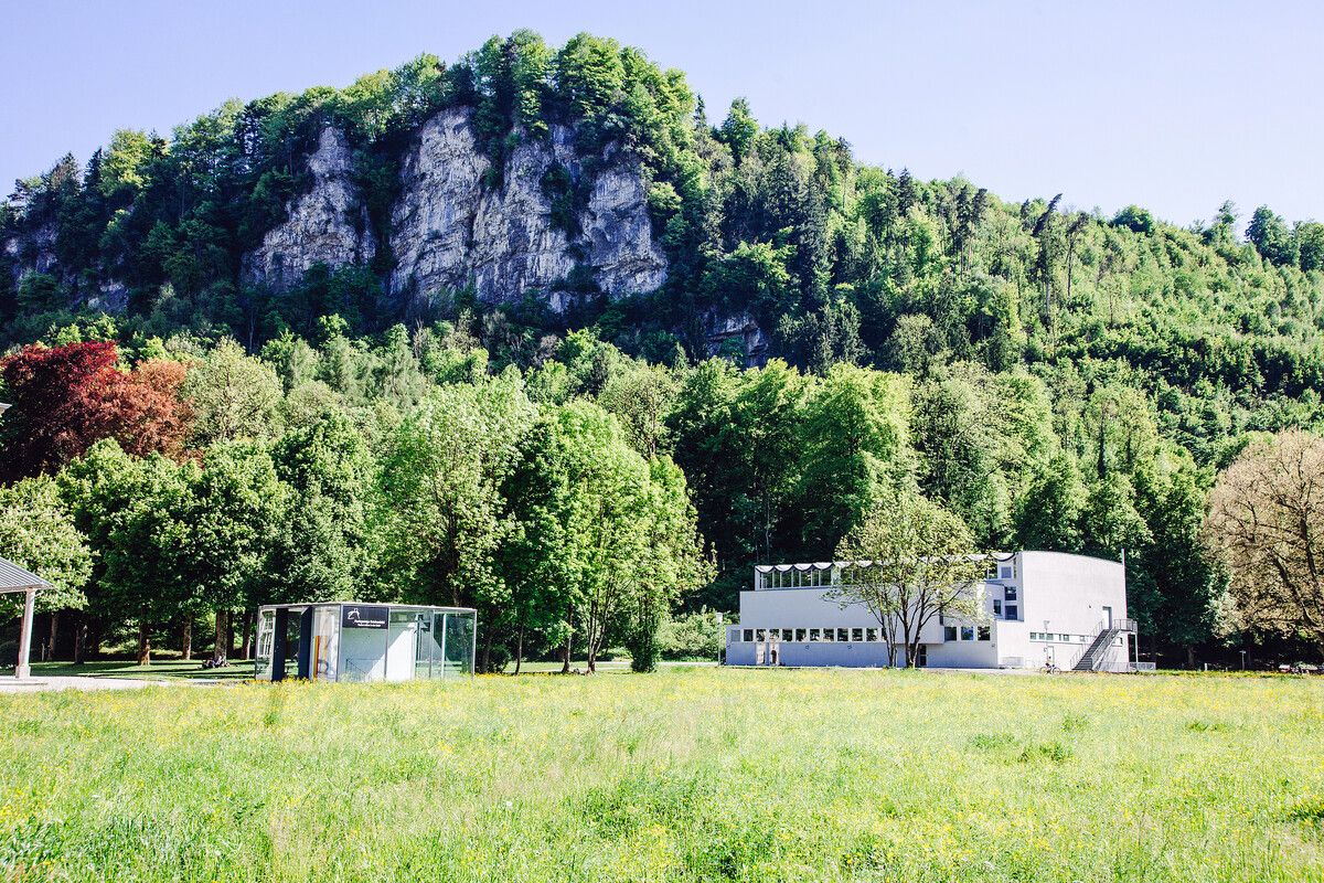 Hier entsteht eine neue Lindenallee. ⇒stadt feldkirch