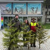 Christbaum für Remise-Vorplatz gesucht