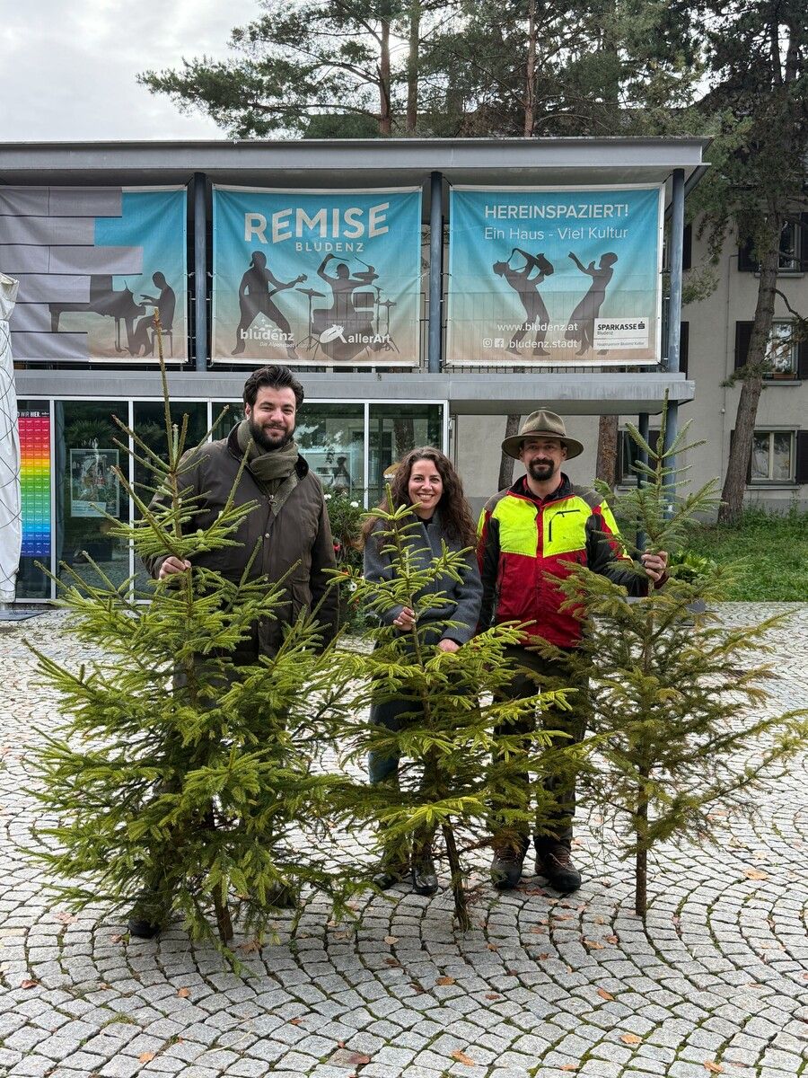 Kulturstadtrat Cenk Dogan, Kulturamtsleiterin Daniela Beck und Förster Omar Yilma suchen eine prächtige, große Fichte oder Tanne. ⇒stadt bludenz (2)