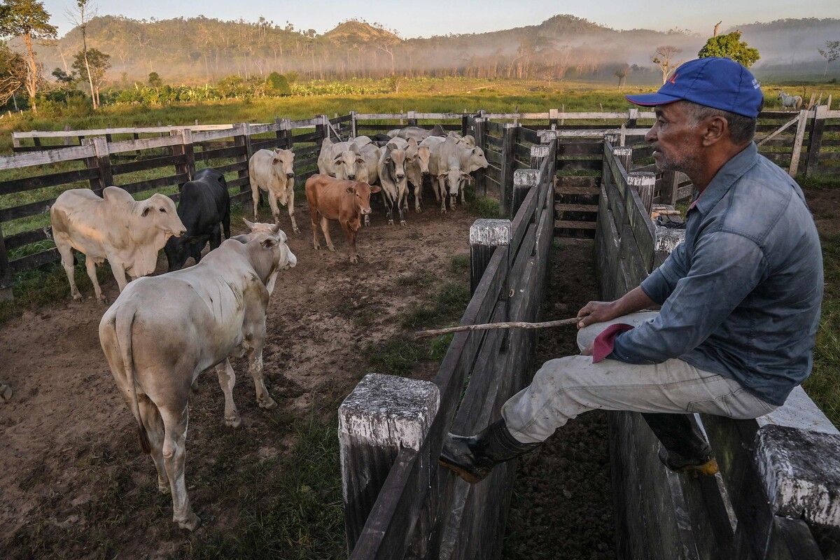 Laut Bericht der UNDP sind arme Haushalte besonders anfällig für Klimaschocks, da viele von gefährdeten Sektoren wie der Landwirtschaft abhängig sind.⇒AFP