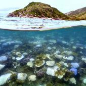 Kreuzfahrtpassagierin bei Landausflug zurückgelassen