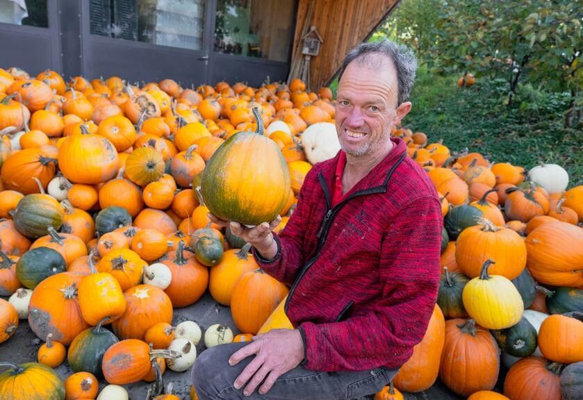 Martin Winder freut sich über eine hervorragende Ernte. ⇒VN/Stiplovsek