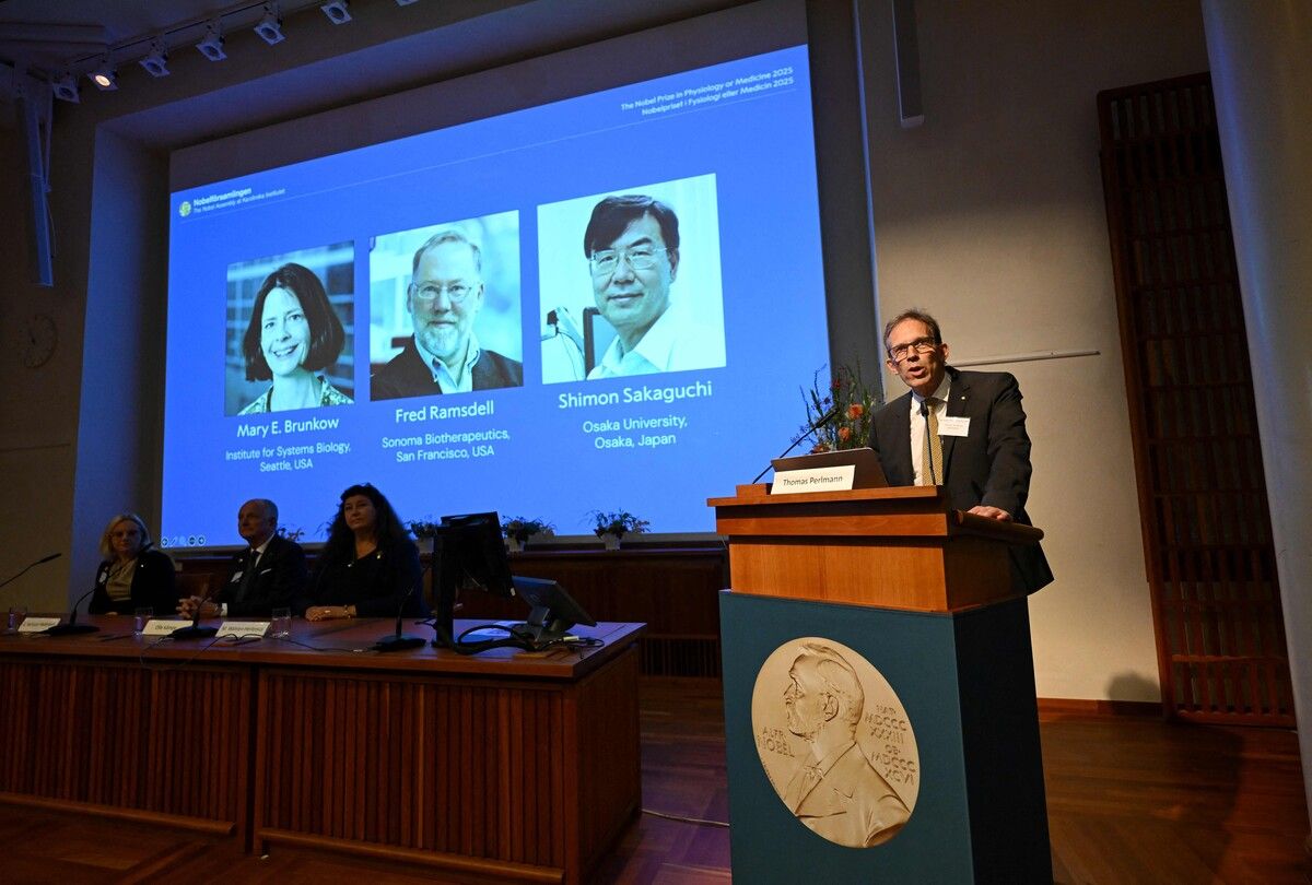 Mary E. Brunkow und Fred Ramsdell aus den USA sowie Shimon Sakaguchi aus Japan erhalten den Medizin-Nobelpreis für Entdeckungen zur Immuntoleranz.⇒AFP