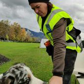 Artenschutzhund hilft bei Fledermaus-Suche