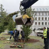 Neue Bäume für die „Schule im Park“