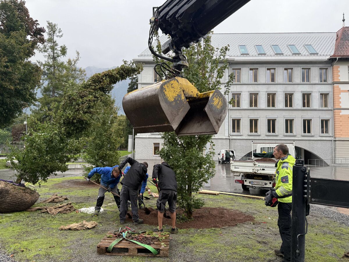 Neue Bäume sorgen für ein grünes, lebendiges Umfeld und mehr Wohlfühlqualität. Stadt