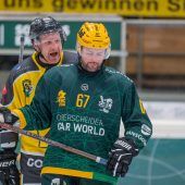 Lustenaus Löwen treffen auf ­Penguins aus Wattens