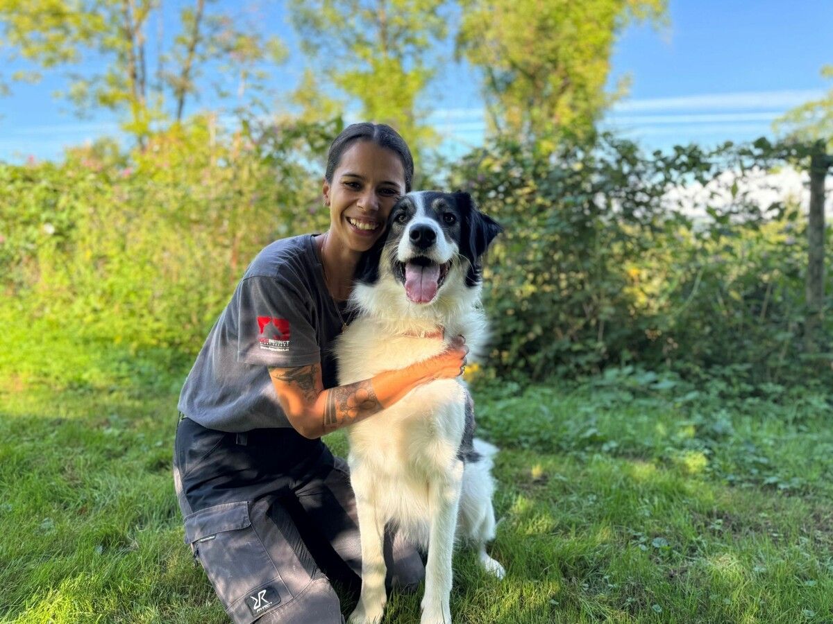 Tierpflegerin Jasmine wünscht sich für Willi ein tolles Zuhause. TSH