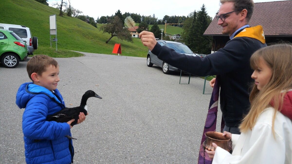 Von Hund und Hamster bis zur Ente sind die Tiere auf der Tiersegnung willkommen. ⇒HE