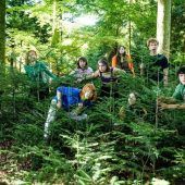 Wenn der Wald zurückschlägt