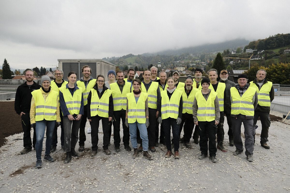22 städtische Mitarbeiter begrünten das Dach der Halle 4. ⇒stadt dornbirn
