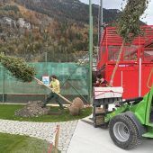 55 Bäume für neuen Freizeitplatz