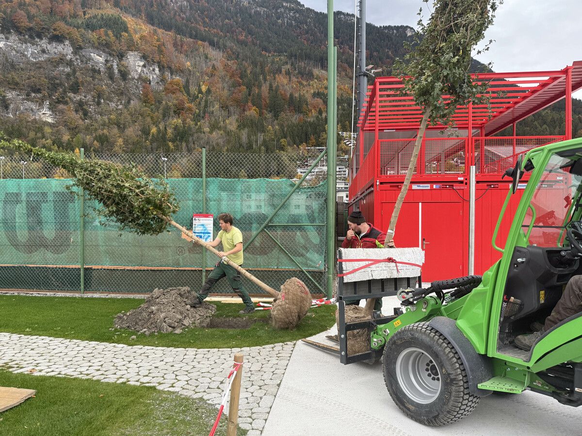 55 Bäume verleihen dem „spark7 Jugend- und Freizeitplatz“ in Bludenz den letzten nachhaltigen Schliff. ⇒Stadt Bludenz