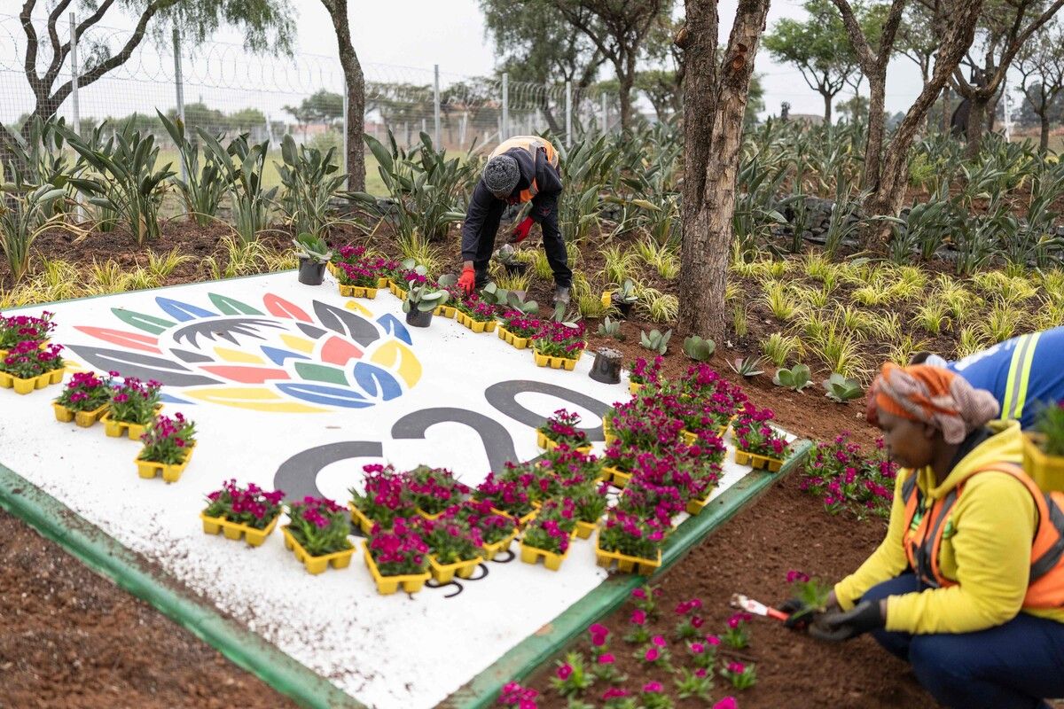 Arbeiter pflanzen Blumen neben dem G20-Logo am NASREC Expo Centre in Johannesburg, dem Ort des G20-Gipfels. AFP (5)
