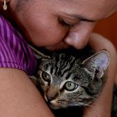 Studie verknüpft Streicheln von Tieren mit Wohlbefinden