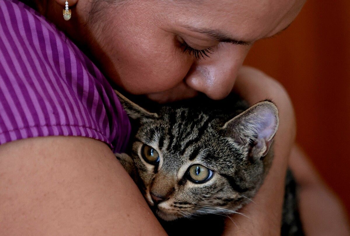 Berührungen mit Haustieren wirken sich positiv auf das Wohlbefinden aus.⇒AFP