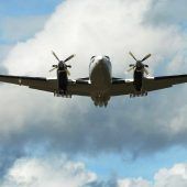 Schlimmste Dürre seit 50 Jahren