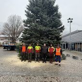 Vom Fällen bis zum Funkeln