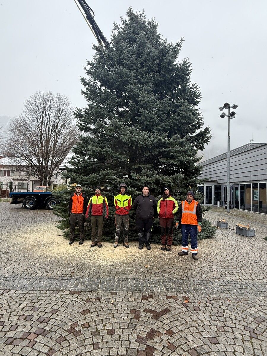 Das Christbaum-Team beim Verladen des neun Meter hohen Baums in Bludenz.