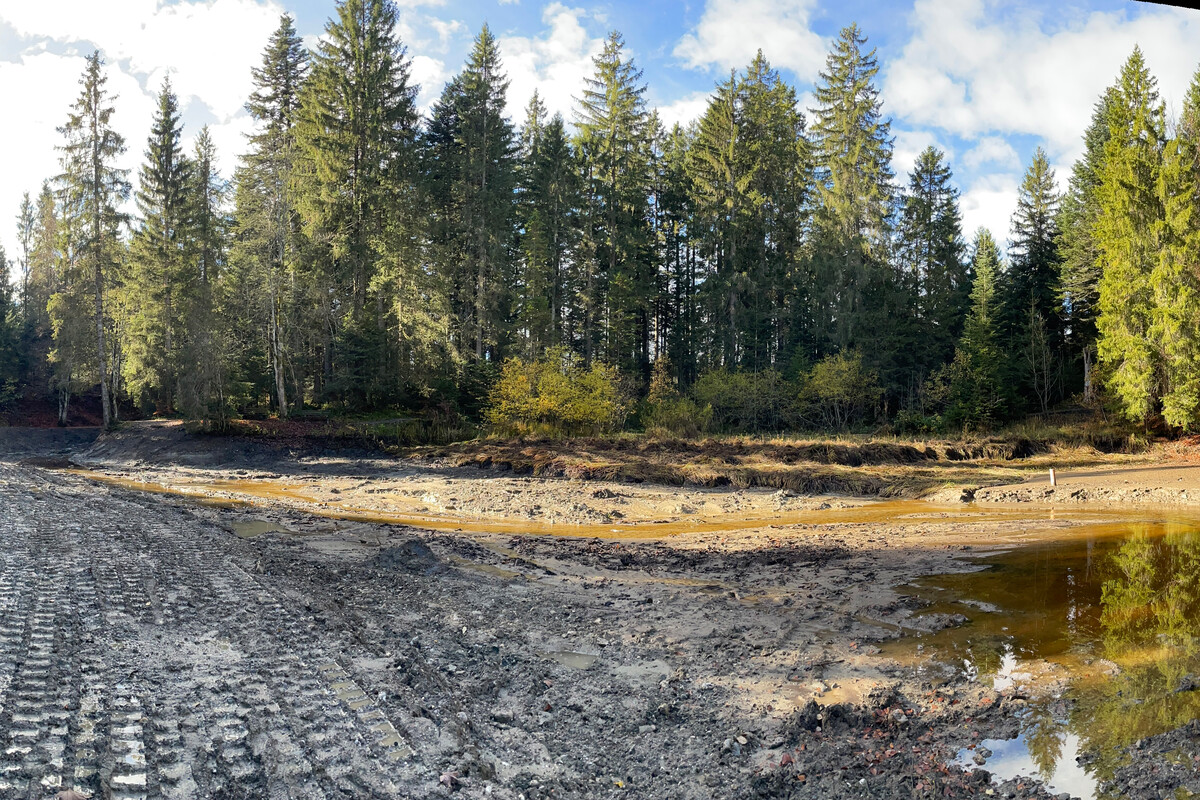 Der abgelassene Bödelesee soll bald wieder aufgefüllt werden.→⇒Stadt Dornbirn
