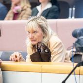 Parteien zu hohen Strafen verdonnert