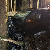 Pkw prallt gegen Baum