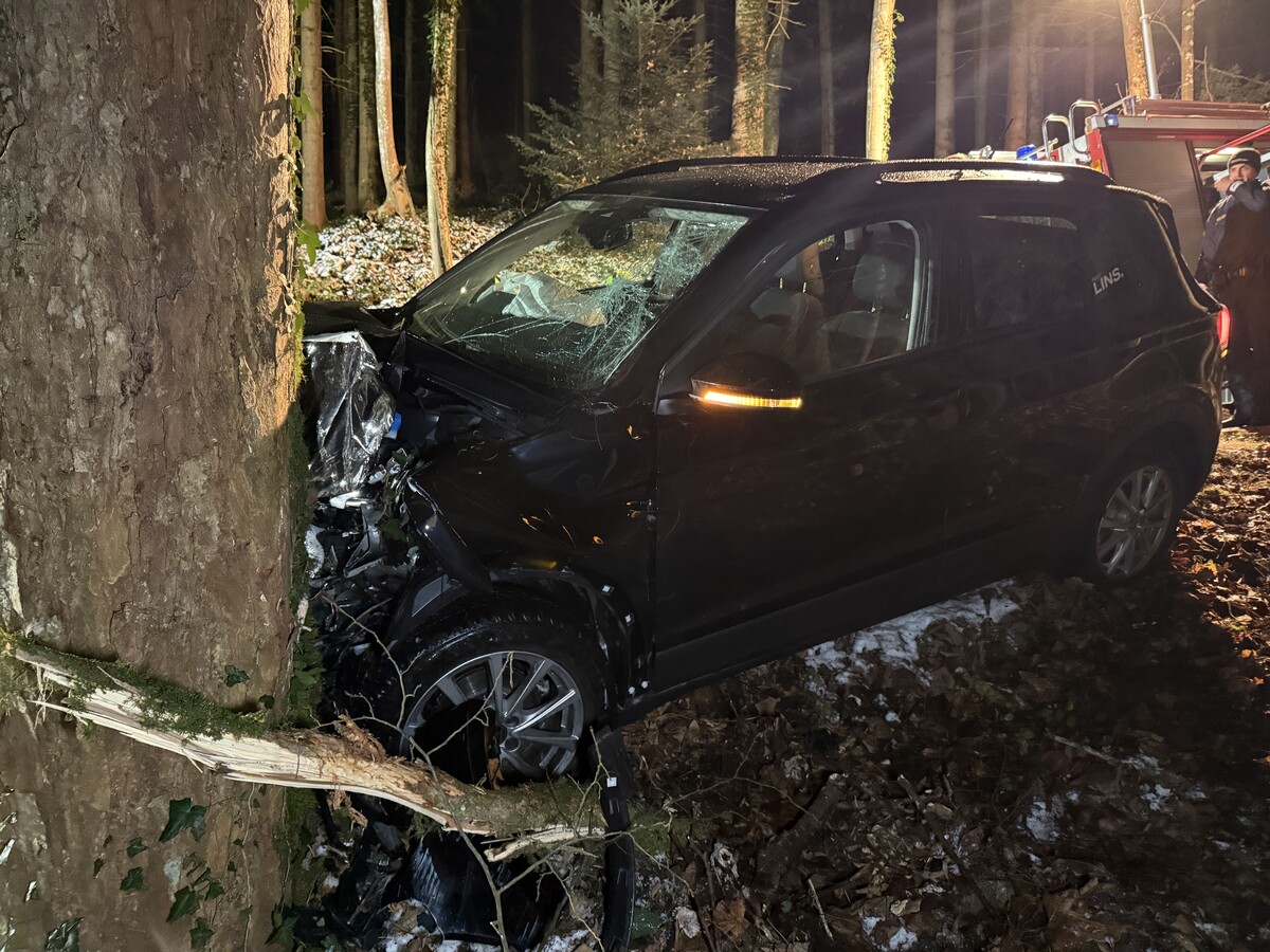 Der Lenker des Autos und seine Beifahrerin wurden bei dem Unfall unbestimmten Grades verletzt.⇒vlach