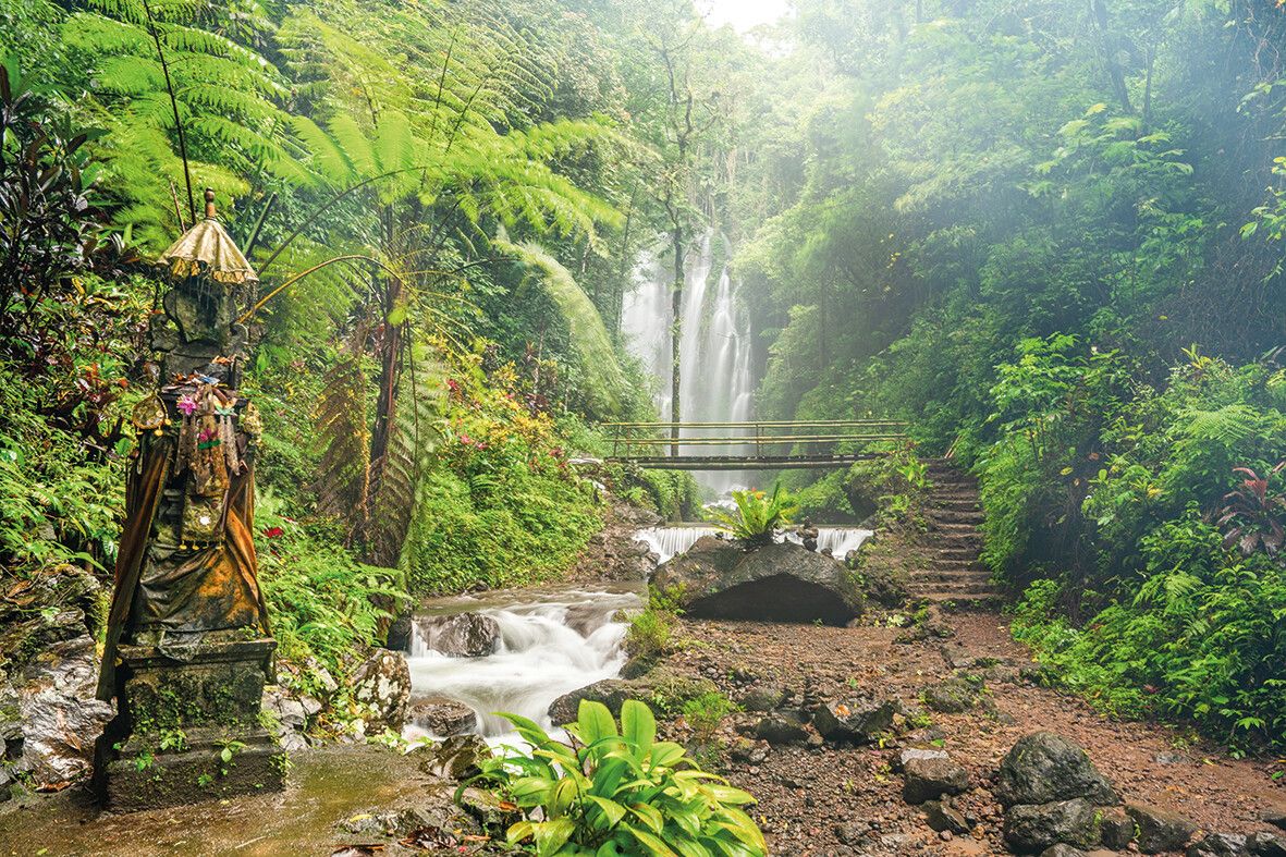 Der Munduk Waterfall stürzt inmitten dichter Vegetation in die Tiefe.⇒Shutterstock