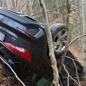 Tier ausgewichen und mit Pkw abgestürzt