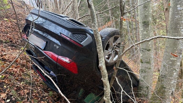 Der Pkw kam rund 20 Meter unterhalb der Straße zum Stillstand.⇒VN