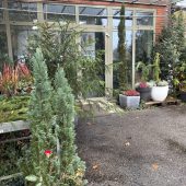 80-jährige Verkäuferin mit Messer bedroht