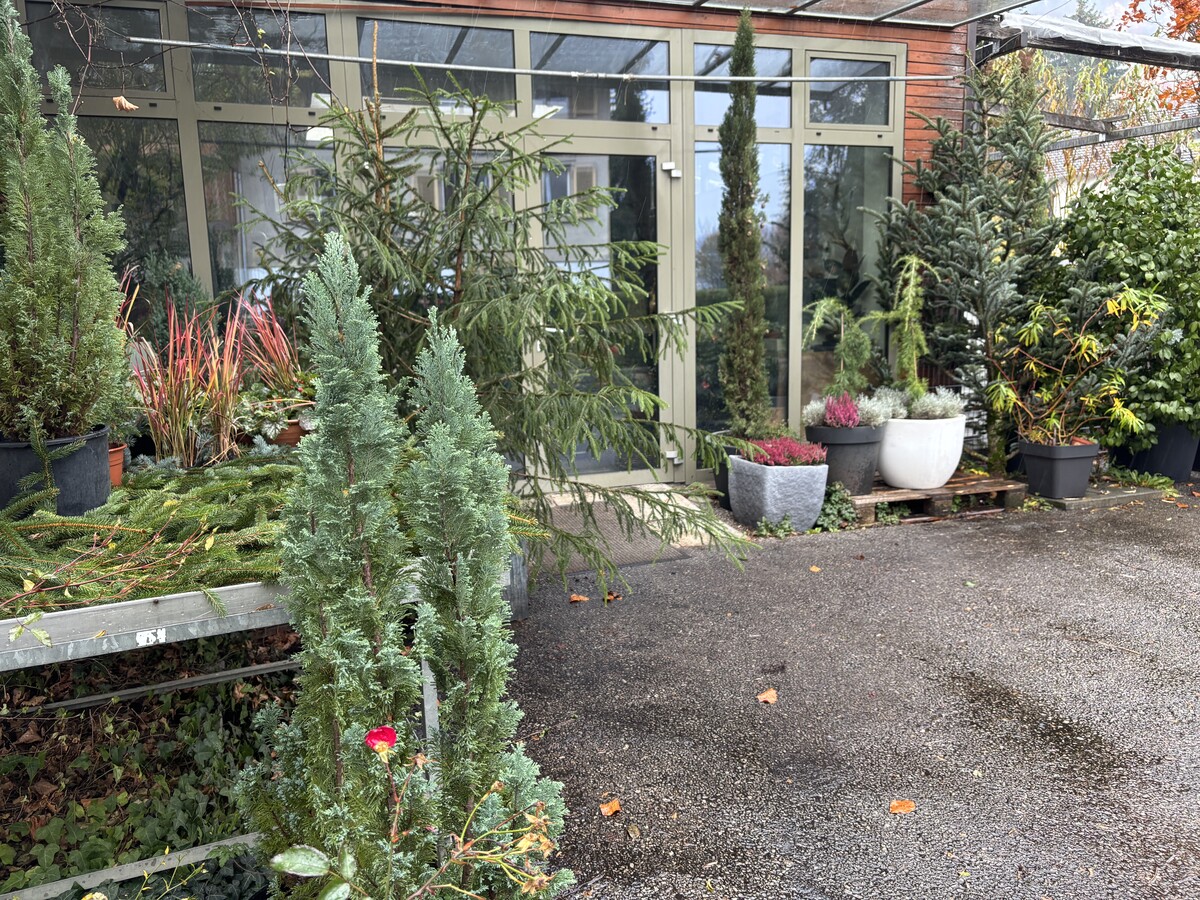 Die 80-Jährige war allein in der Blumenhandlung. ⇒VN