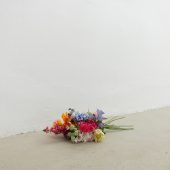 Klang, Körper und Kreisläufe