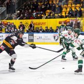 Pioneers verlieren den Anschluss