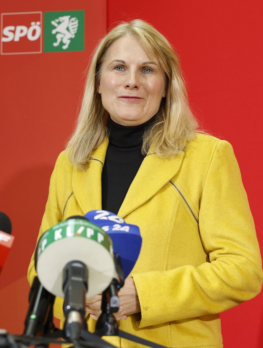 EU-Abgeordnete Elisabeth Grossmann warnte vor Signal der Schwäche. ⇒apa