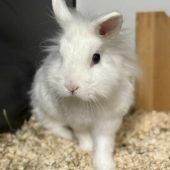 Mira sehnt sich nach neuen Abenteuern