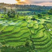 Bali: Eine Insel im Wandel