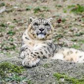 Prächtiger Neuzugang