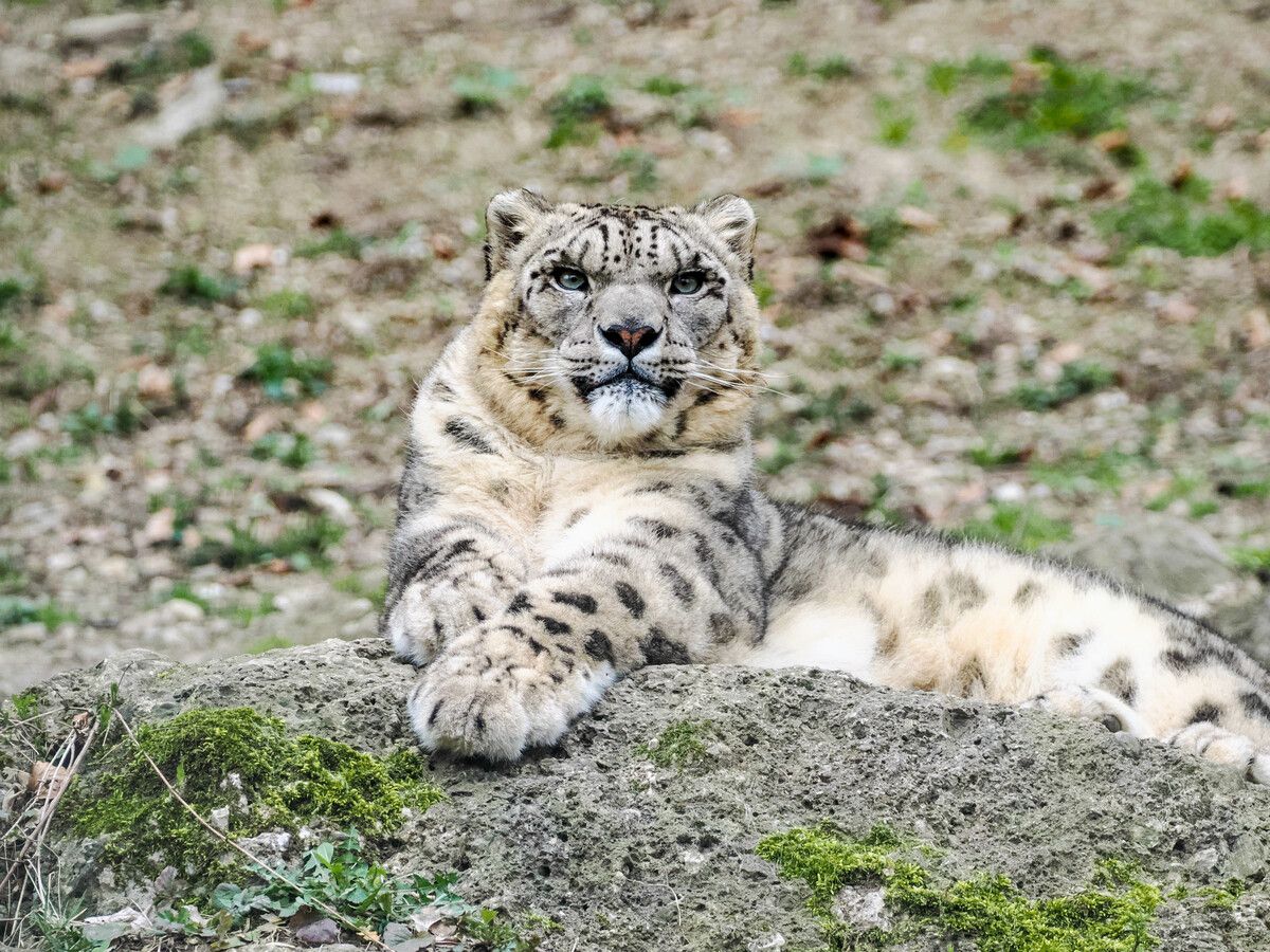 Prächtiger Neuzugang
