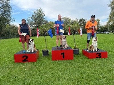 Handgefertigte Krippen und Glühmoststand sorgen für Adventstimmung in Altenstadt.⇒Krippenverein Altenstadt