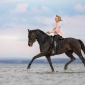 Herzschlag im Takt der Hufe