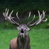 Massiver Eingriff wegen TBC